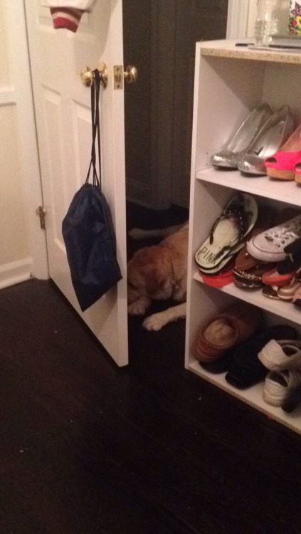 taggedrne:  bubba doesn’t know how to walk through halfway opened doors and accepted his defeat