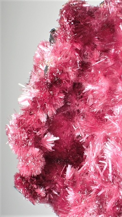bijoux-et-mineraux: Erythrite - Carcoar Mine, Bathurst County, New South Wales, Australia
