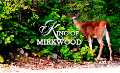 elvenking:                          In a great cave some miles within the edge of Mirkwood          