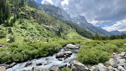 oneshotolive:One of the many stunning views at Grand Teton National Park, USA. [OC] [4032 x 3024]: A