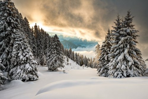 ‘WINTERSCAPE’Switzerland (View from wintry Rigi Kaltbad, Weggis, Canton Lucerne)