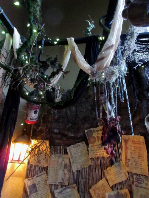 Some pics inside the swamp witch shack/front door area, where I sat to hand out the candy :)