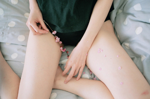 https://thighfreak.tumblr.com/post/135845184821
