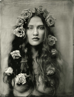 edrossphotography:Nekole.  Whole plate tintype.  © Ed Ross