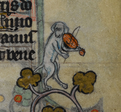 musical dog ‘The Maastricht Hours’, Liège 14th century.British Library, Stowe 17, fol. 172r