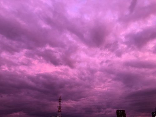 Insider: 12 Oct, In Japan, the sky turned purple due to typhoon Hagibis. This peculiar weather 