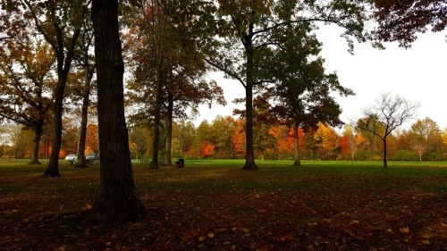 bookofoctober:Halloween colors- October 31, 2016 in Huron Charter Township, MI. Photos by MichiganSnowLvr
