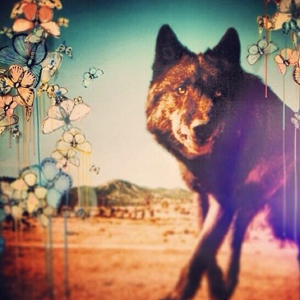 bigbaldhead:  WALKINGDEADFINALE TONIGHT (talking dead after ) lets do this!!