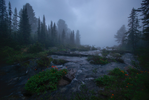 expressions-of-nature: Atmospheric Mood by Vladimir Lyapin