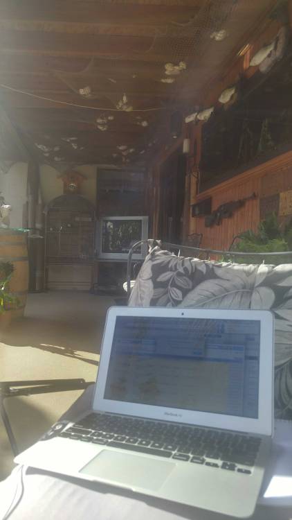 XXX When you can work from anywhere in the world photo