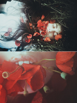 floralls:   lucid dreams by  Laura Makabresku