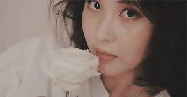 sone-s: Girls’ Generation 