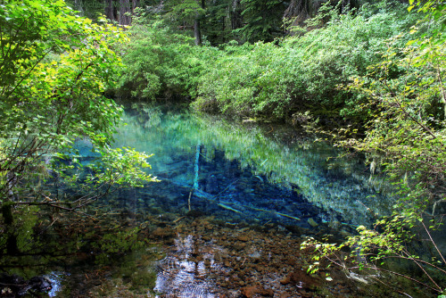 bright-witch: The Wellspring - June 2016Pacific Northwest photography © Michelle Nicole.My Blog