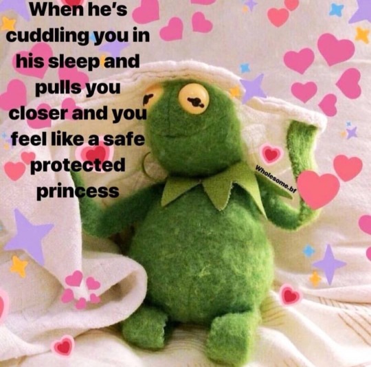 memesuwu:  kermit is a whole ass mood 