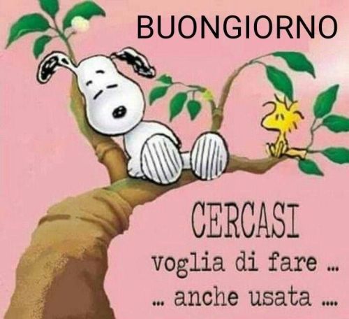 BUONGIORNO FORUM!!!!  Saluti lampo - Pagina 12 044a0c1d655c9f8e8766b30559762406e7516dfe