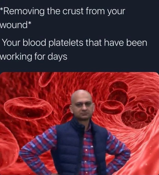 dankmemeuniversity: