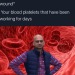 dankmemeuniversity: