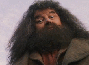 lauslort:  hagrid problems I got 99 problems but my hair ain’t one if you are having
