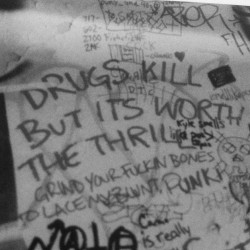 strayy:  drugs kill but its worth the thrill