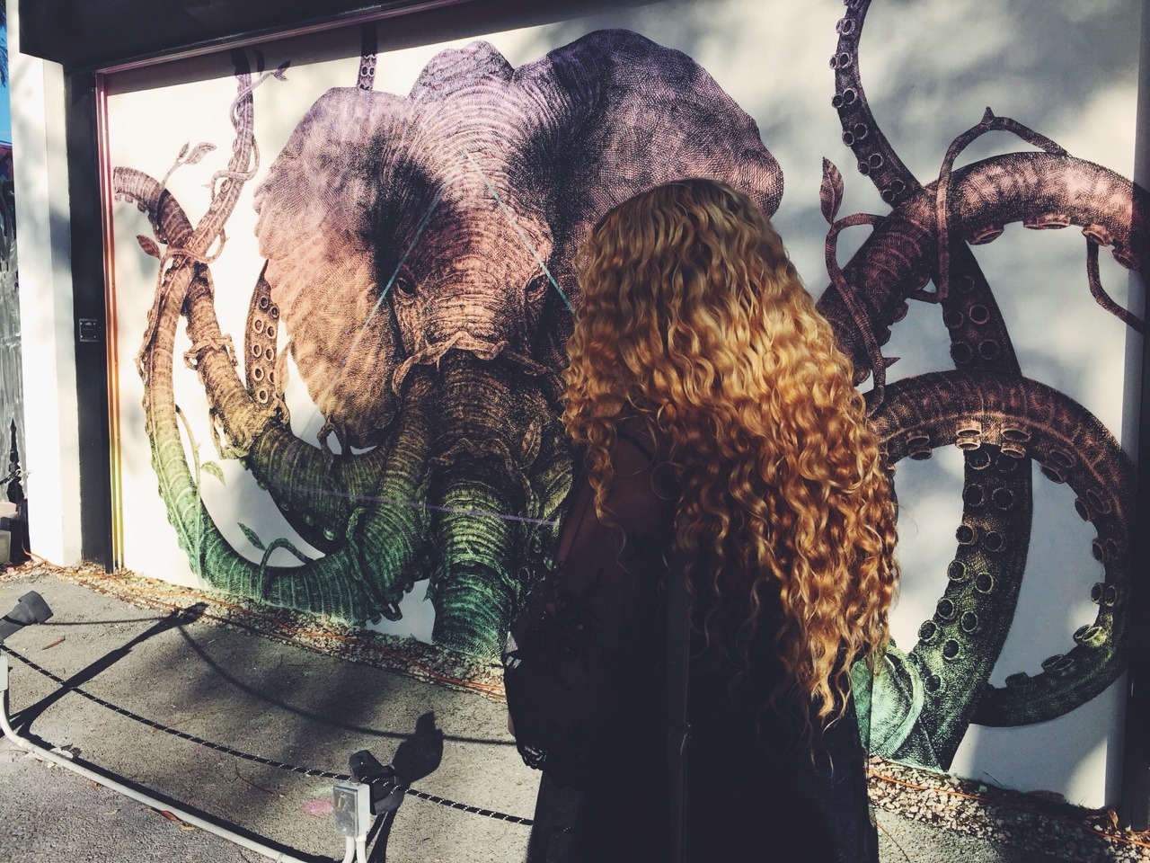 lovegloriani:  Wynwood.
