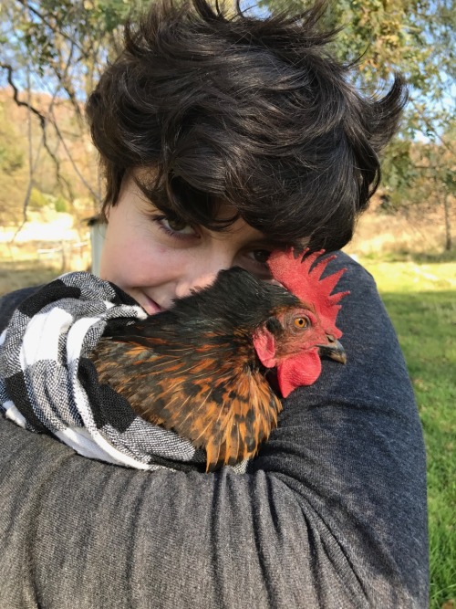 riboflavian:Spent thanksgiving with my cousins and their chickens and ducks and I am truly in my ele
