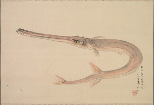 cma-japanese-art:  Needlefish (Yagara), Raisho Nakajima, 1870, Cleveland Museum of Art: Japanese ArtSize: Painting only: 42.2 x 62.5 cm (16 5/8 x 24 5/8 in.); Including mounting: 133.4 x 80.7 cm (52 ½ x 31 ¾ in.)Medium: hanging scroll; ink and color