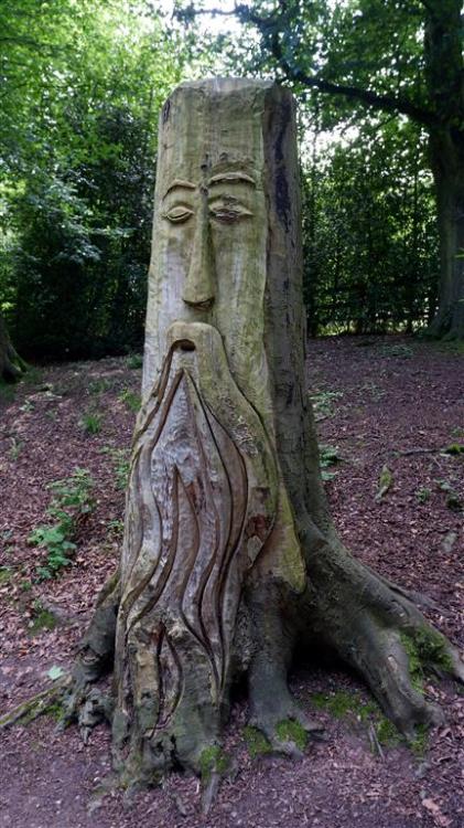 A Wood Carving at Mother Shipton’s Cave, Knaresborough, North Yorkshire, England. 