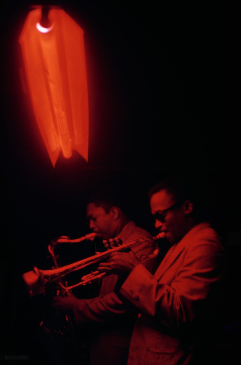 undr:  Marvin Koner. Miles Davis. Jazz club Cafe Bohemia. New York City. 1956