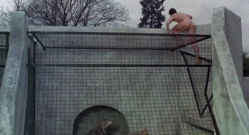 tripnight:  David Naughton in An American Werewolf in London “While vacationing in England, a young man [Naughton] is bitten by a werewolf and finds himself behaving like a beast and terrorizing the locals. How this is different from the average young