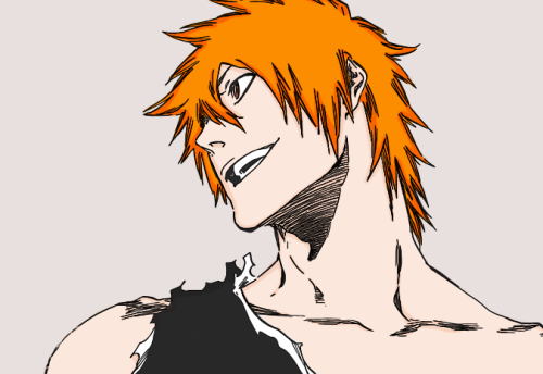 kaizoku-senshi:Ichigo Kurosaki