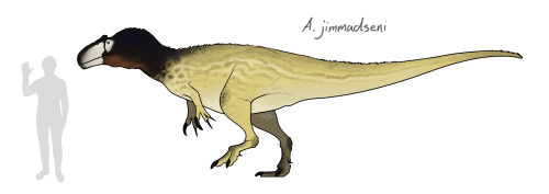 i-draws-dinosaurs:Allosaurus! It’s always been a bit of an underappreciated dinosaur, not beca