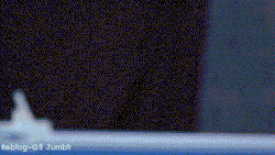 reblog-gif:  http://reblog-gif.tumblr.com/