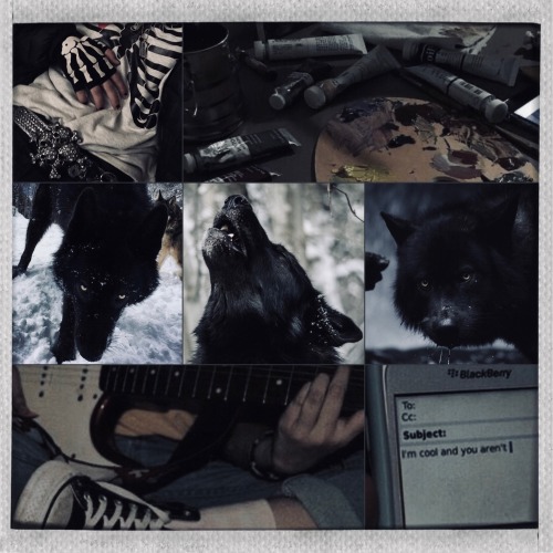 A Alt Werewolf/wolfkin Mood Board:3