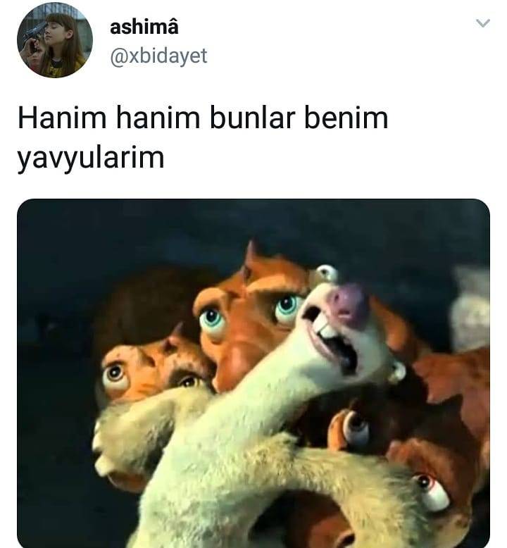 Hanim hanim bunlar benim
yavyularim