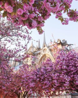 lilyadoreparis:Spring in Paris by Saul Aguilar.