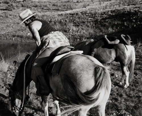 Abiquiu, New Mexico by Olivia Bee 