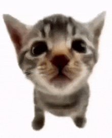 PARTY TWO WHEN PART TWO WHEN AAAAAAAAAAAAAAAAAAAAAAAAAAAAAAAAAAAAAAAAAAAAAAAAAAA