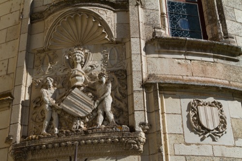 castlesandmedievals:château de Chaumont