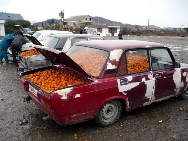 My Aesthetic: Slavs selling oranges from their cars