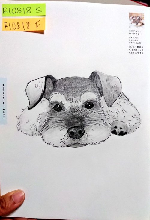 犬なぞり絵 Explore Tumblr Posts And Blogs Tumgir 犬なぞり絵 Explore Tumblr Posts And Blogs Tumgir