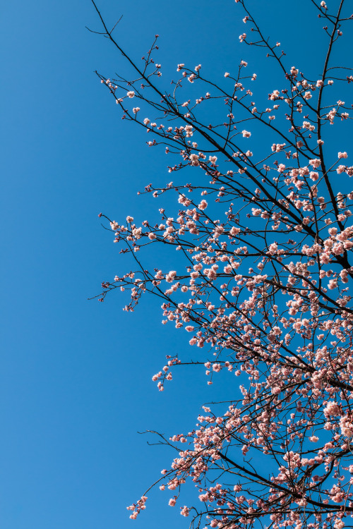 Tokyo, February 2016