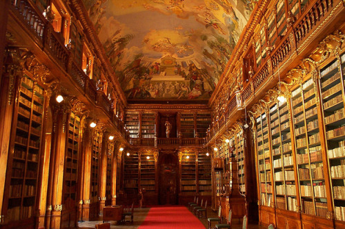 prettystudying:Beautiful Libraries (Source)