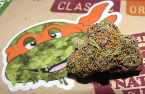 ashinkusher420:  nom nom nom :3 