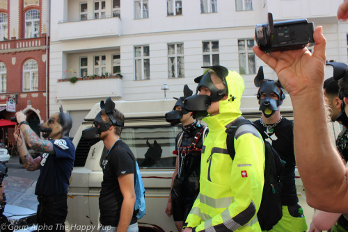 Human pups out and about “walkies” at Folsom BerlinYou can learn more about human pup play here: http://SiriusPup.net http://TheHappyPup.com http://PupSafeProject.org 