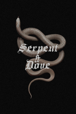 books i’ve read in 2020 ;— serpent & dove by shelby mahurin.wicked are the ways of women—and esp