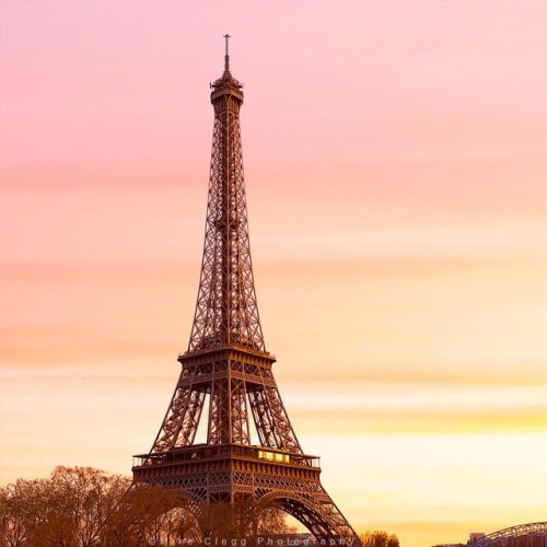 emogyptian:moodboard - lesbian honeymoon in paris