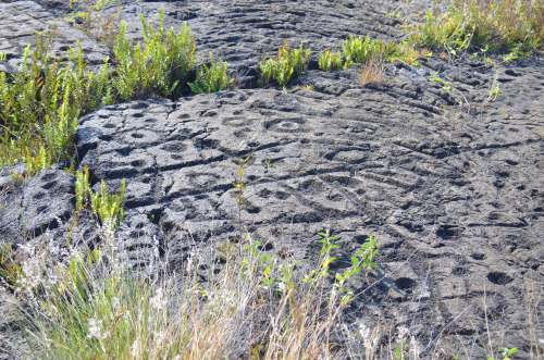 hikereyes: FOTO FLASHBACK - Nov. 24, 2013 - Petroglyphs on the Big Island…pretty amazing stuff! by H