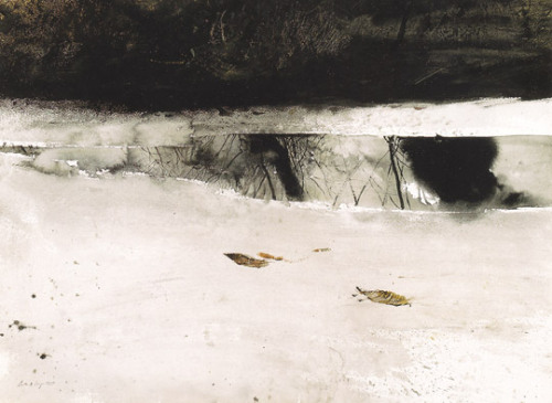 nemophilies:Wild Dog, 1959Ice Pool, 1969Andrew Wyeth. 