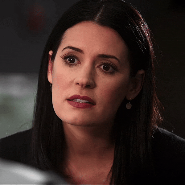 "Family Is A Haven In A Heartless World. - Christopher Lasch" EMILY PRENTISS In CRIMINAL MINDS 5x17 |