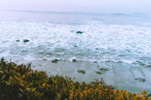 leahberman:sea story; el matador beach, californiainstagram